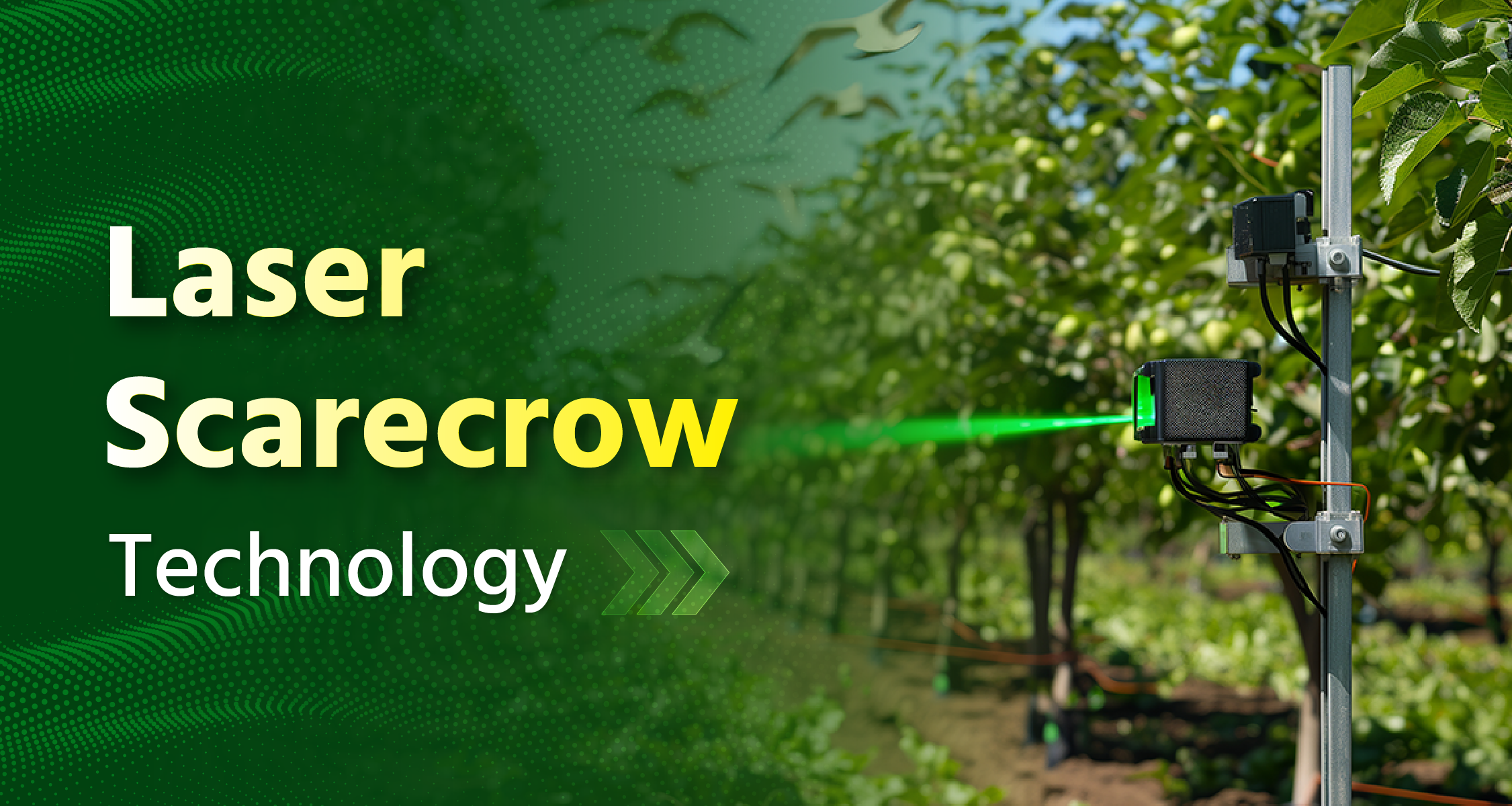 Laser Scarecrow Technology